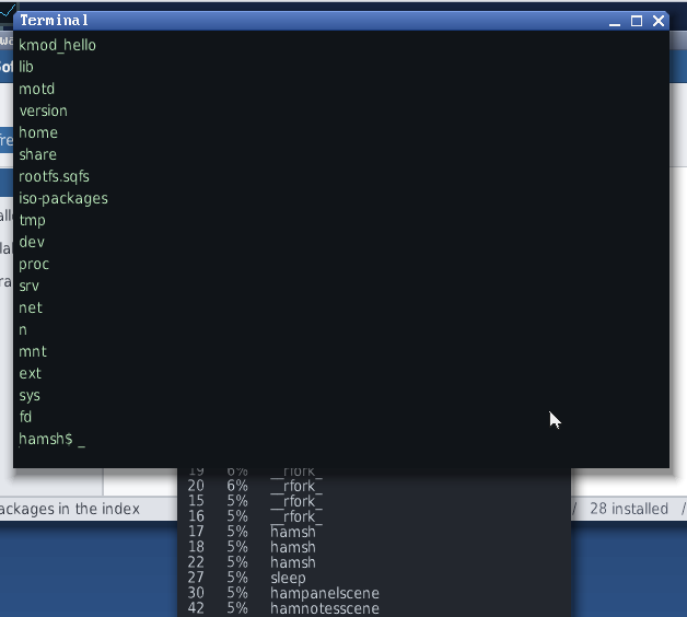 The Hamnix terminal running the hamsh shell